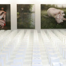 art_karlsruhe04_jpg-1331054060