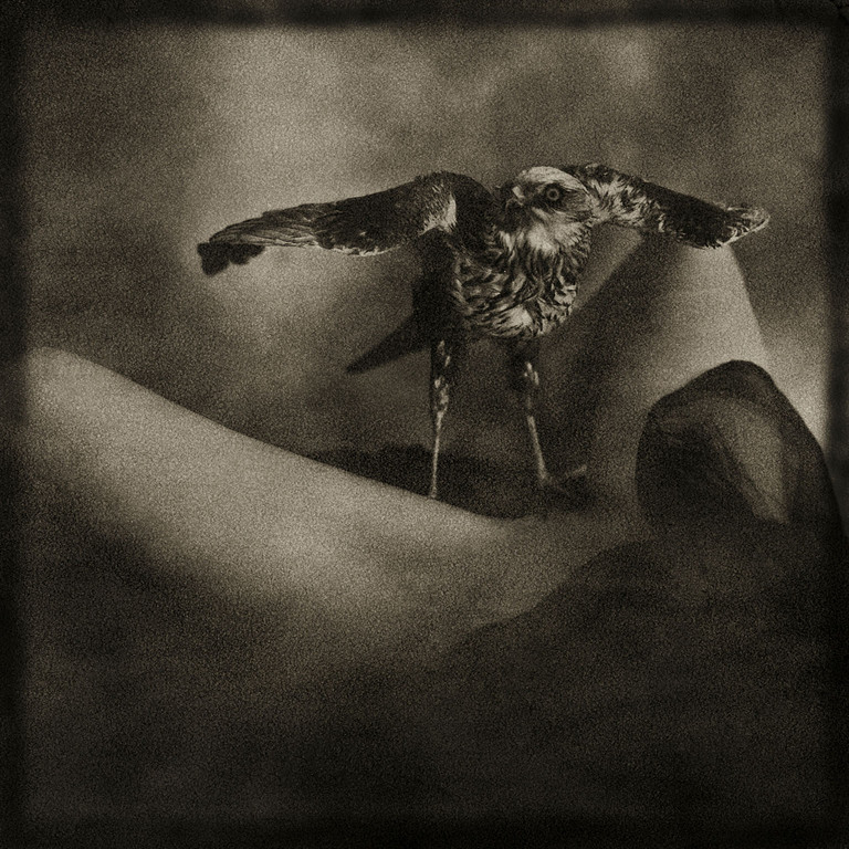 WERNER_BRANZ_PR02_jpg-1331054114