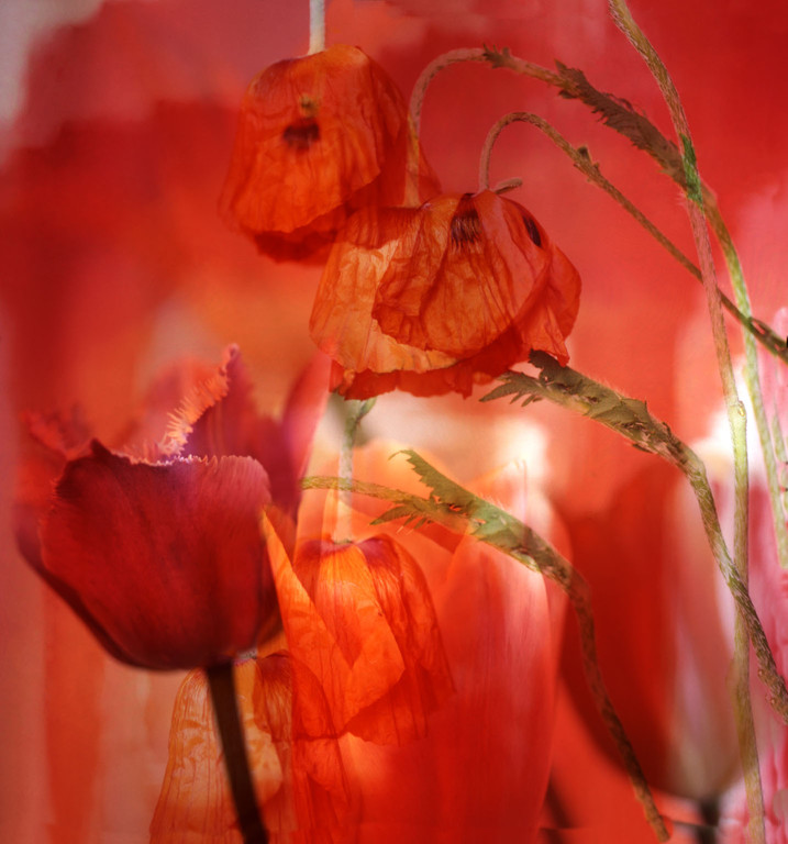 WERNER_BRANZ_PR01_jpg-1331054106