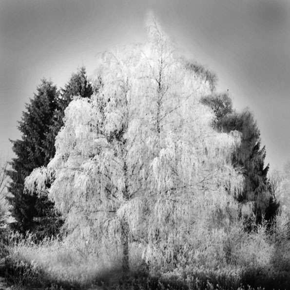 branz_Coldness_jpg-1331054062