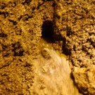 normal_06032012fmt_rohrbruch_ta_016.JPG