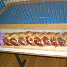 CIMG8346_JPG-1331109599