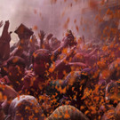 DAB2428-20120306.jpg