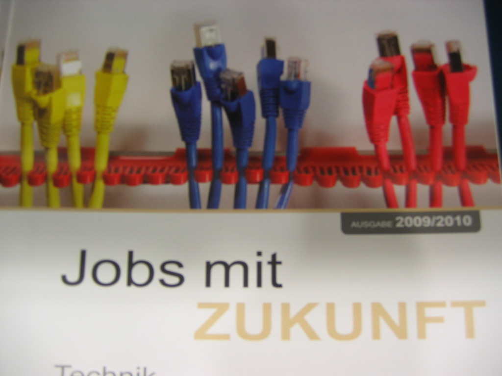 IMG_8910_JPG-1331247708