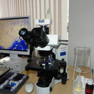 109_5542_JPG-1331247571