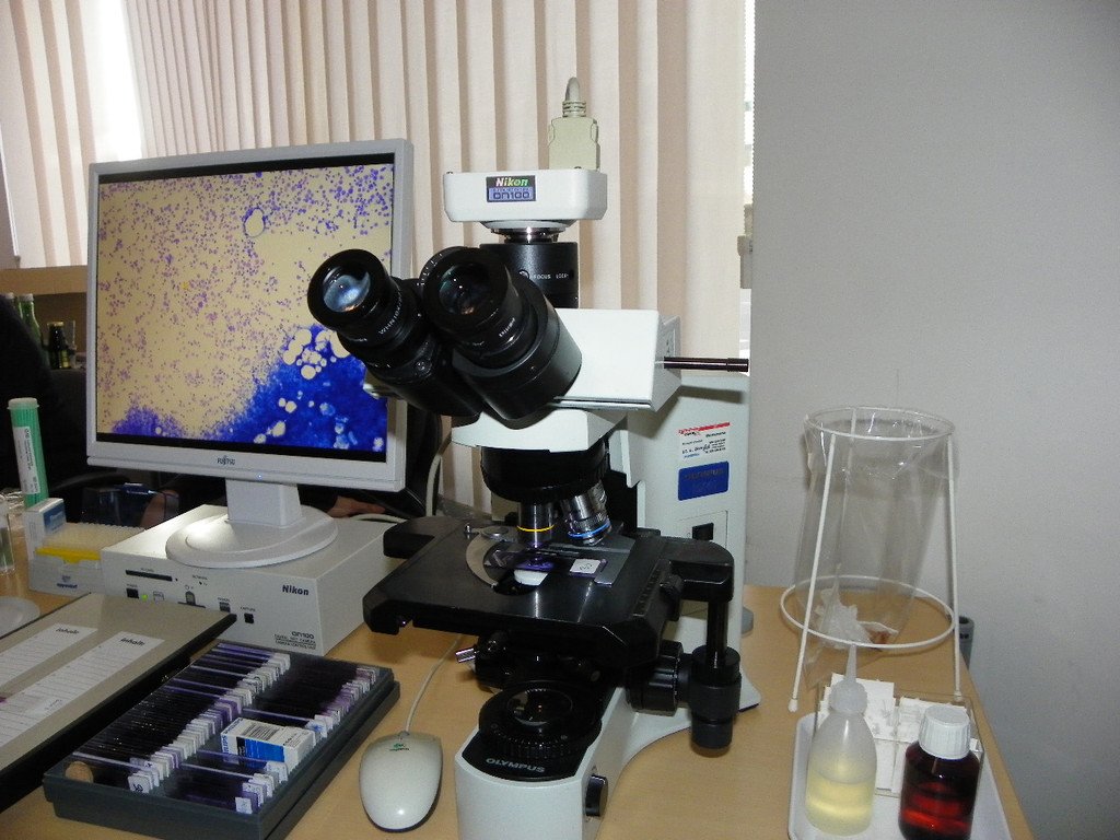 109_5542_JPG-1331247571