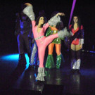 113_9526_jpg-1331254079