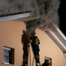 normal_080110brandainringwhaktivnews_04.jpg