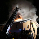 normal_080110brandainringwhaktivnews_08.jpg