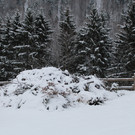 IMG_0084_jpg-1331282826