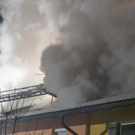 normal_080110brandainringwhaktivnews_21.jpg