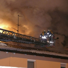 normal_080110brandainringwhaktivnews_23.jpg