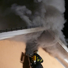 normal_080110brandainringwhaktivnews_30.jpg