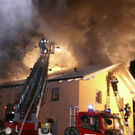 normal_080110brandainringwhaktivnews_32.jpg