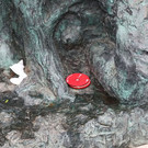 normal_09032012fmt_affentor_mw_007.JPG
