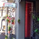 Rosen Waibel in Götzis