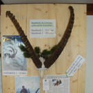 DSC00007.JPG
