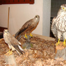 DSC00009.JPG