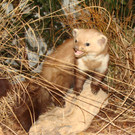 DSC00010.JPG