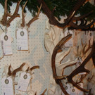 DSC09900.JPG