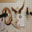 DSC09901.JPG