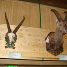 DSC09904.JPG