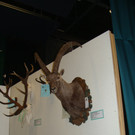 DSC09907.JPG