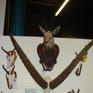 DSC09909.JPG