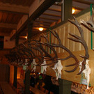 DSC09910.JPG