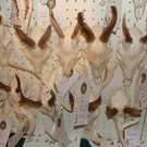 DSC09913.JPG