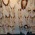 DSC09917.JPG