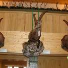 DSC09919.JPG