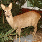 DSC09922.JPG