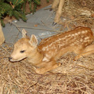 DSC09923.JPG
