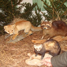 DSC09927.JPG