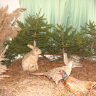 DSC09929.JPG