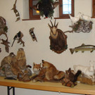 DSC09933.JPG