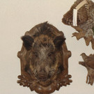 DSC09934.JPG
