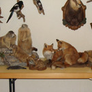 DSC09936.JPG