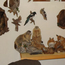 DSC09937.JPG