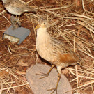 DSC09950.JPG