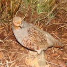 DSC09951.JPG