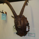 DSC09954.JPG