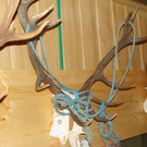 DSC09957.JPG