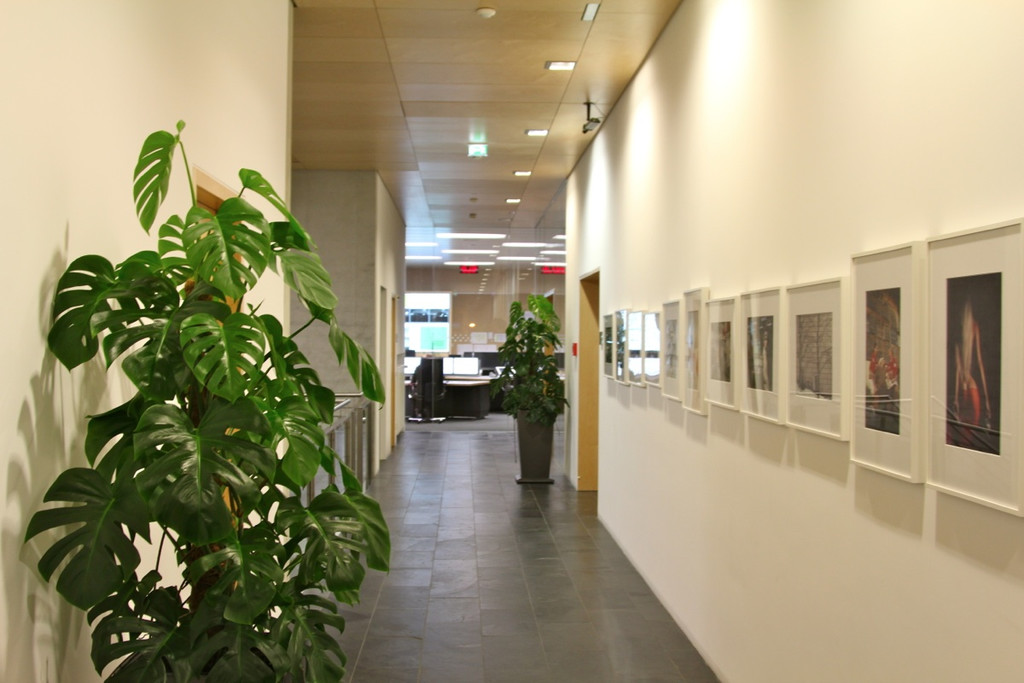 KOE_RFL Exkursion 21_jpg-1331376103