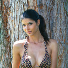 IMG_0334.jpg