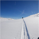 20120310_hahnenk__pflelauf_vorauskommando_099_luc.JPG
