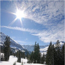 20120310_hahnenk__pflelauf_vorauskommando_163_luc.JPG