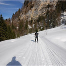 20120310_hahnenk__pflelauf_vorauskommando_166_luc.JPG