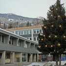 _DSC01730009.JPG